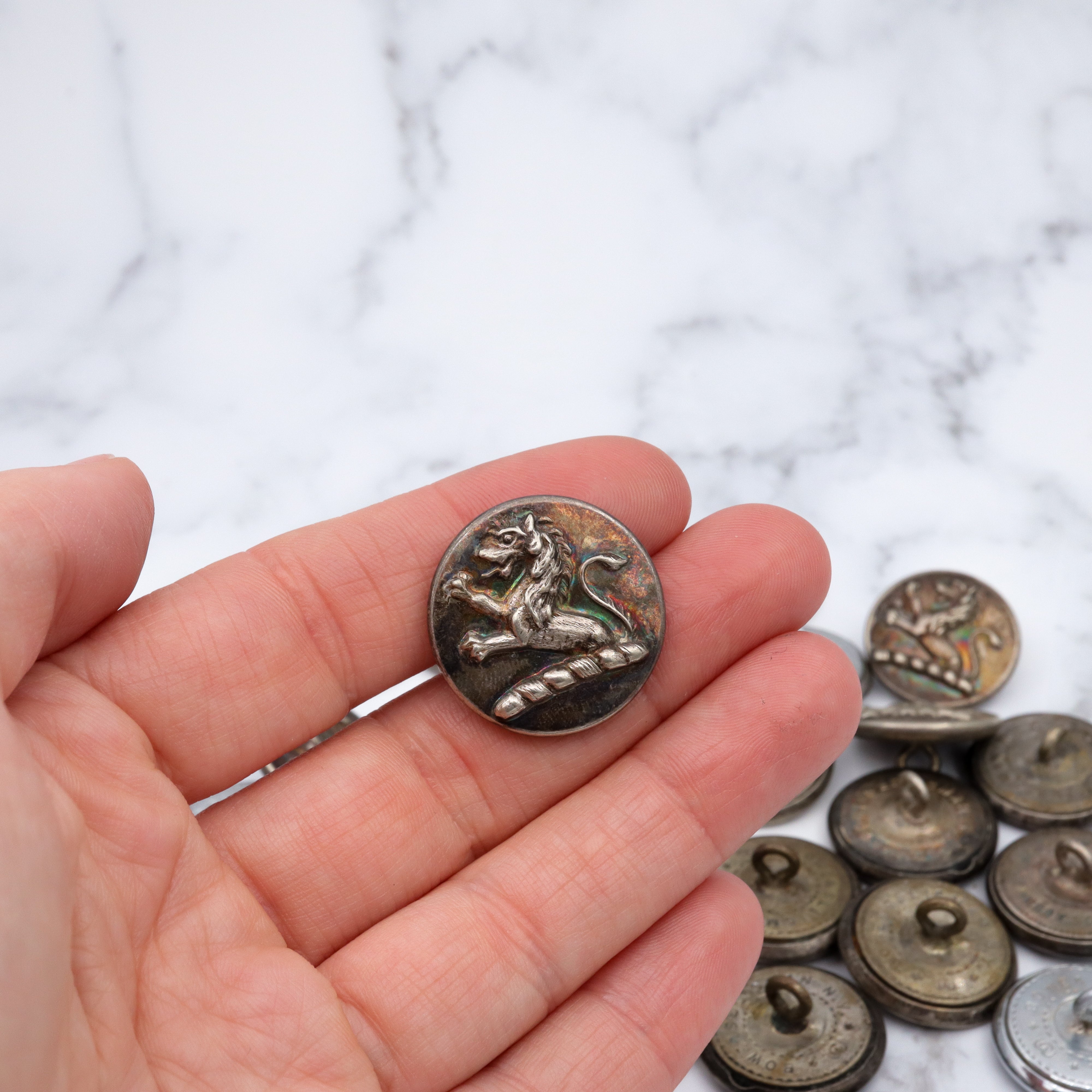 Large group of 28 Antique silver-plated brass livery buttons with rampant lion