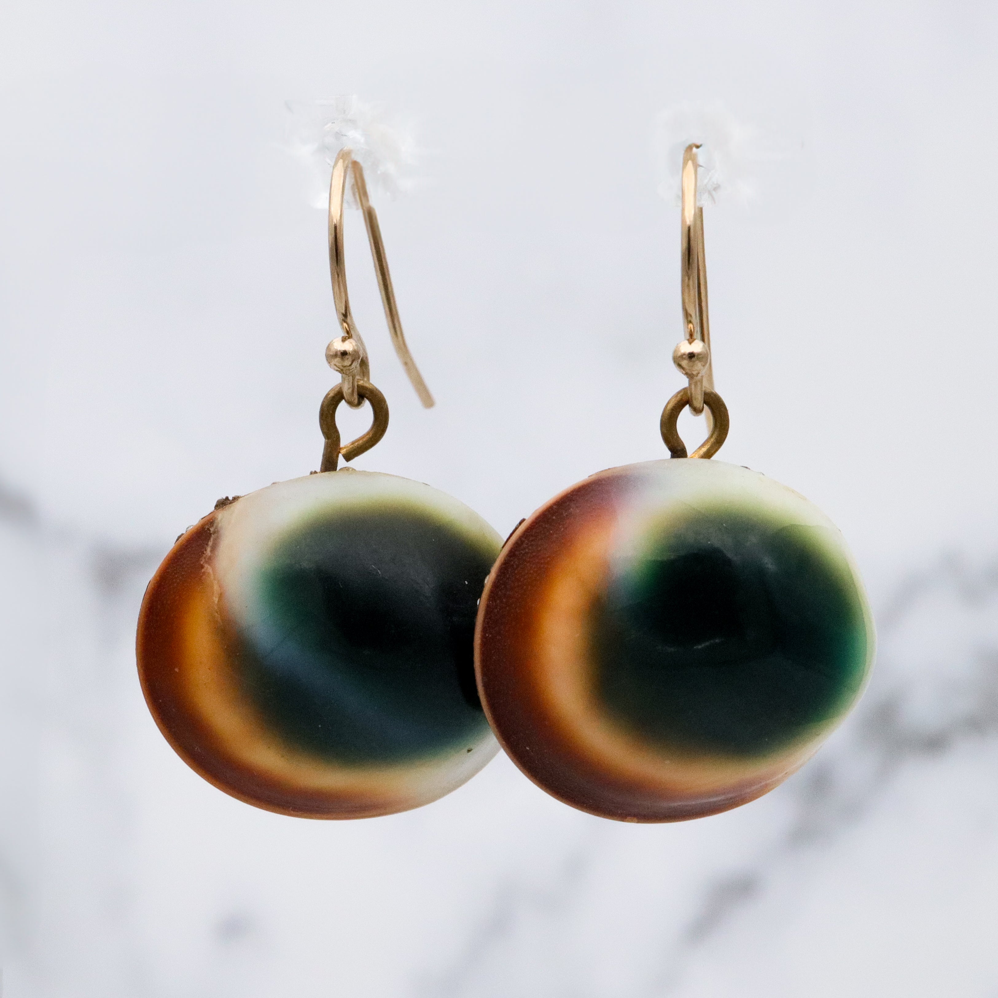 Mid Century cat's eye operculum shell drop earrings