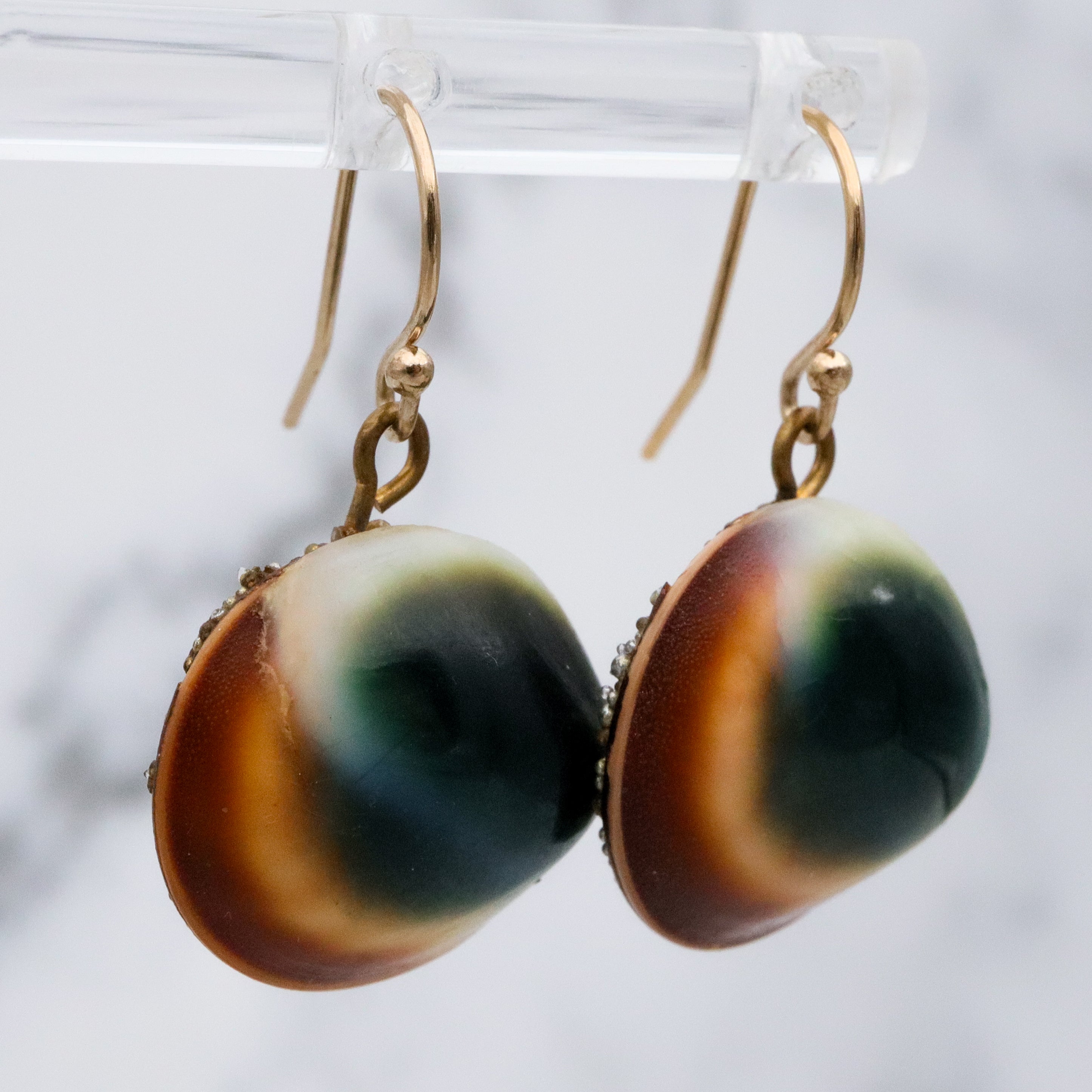 Mid Century cat's eye operculum shell drop earrings